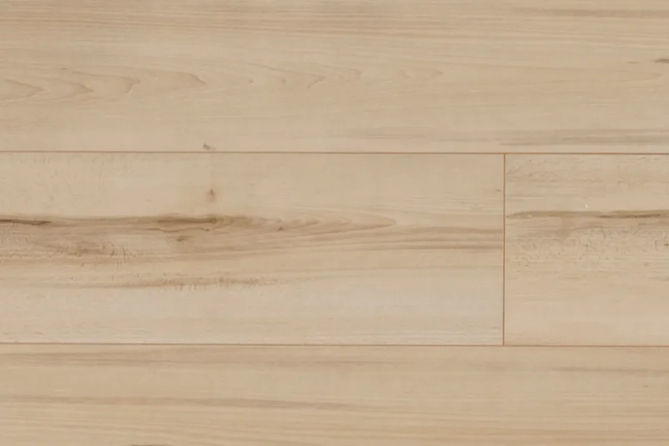 lake constance in details